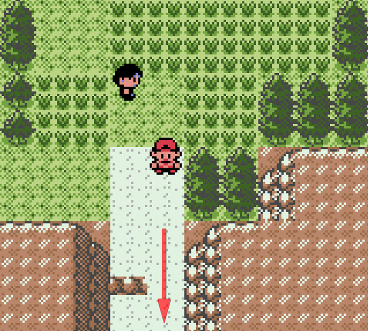 The mountains on Route 32 leading to Union Cave / Pokémon Crystal