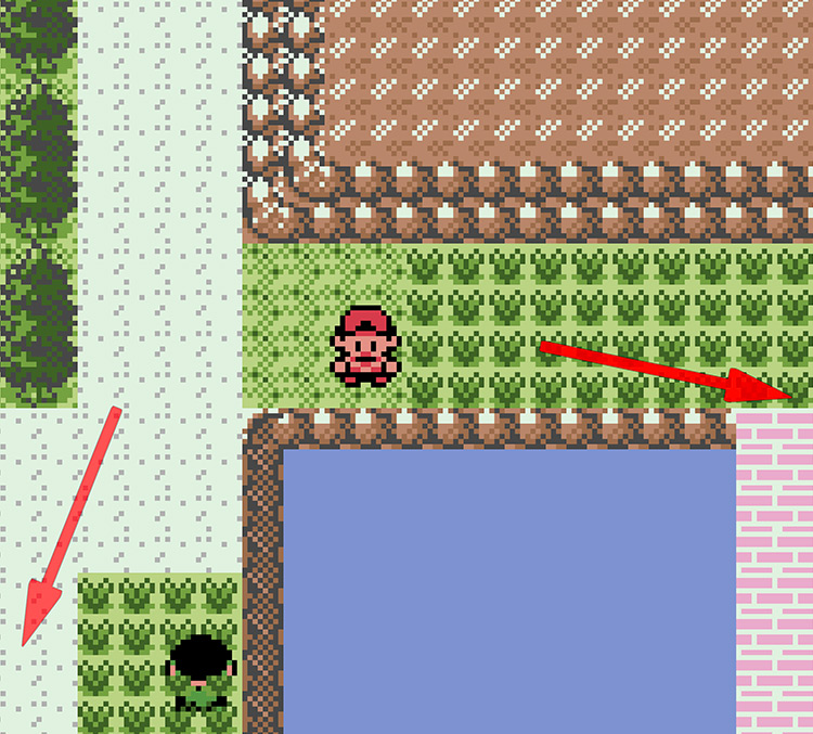 You can take either path here / Pokémon Crystal