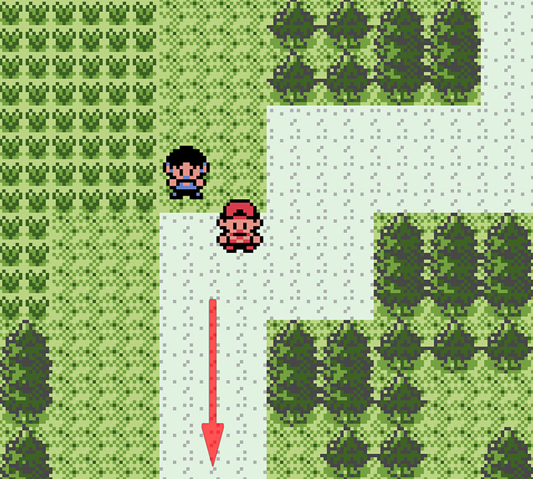 The two paths will meet up and take you south / Pokémon Crystal