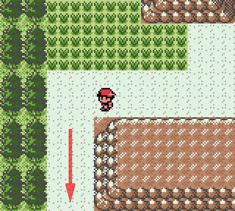 Stay on the path here / Pokémon Crystal