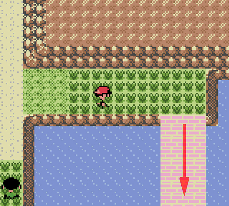 Taking the right path / Pokémon Crystal