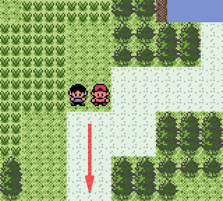 The paths meet up by this trainer / Pokémon Crystal