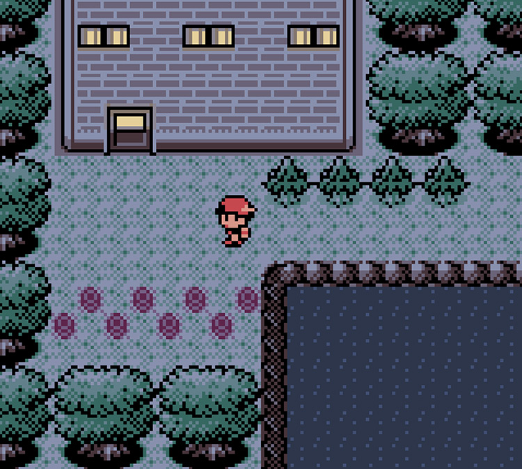 The guardhouse at the end of the forest / Pokémon Crystal
