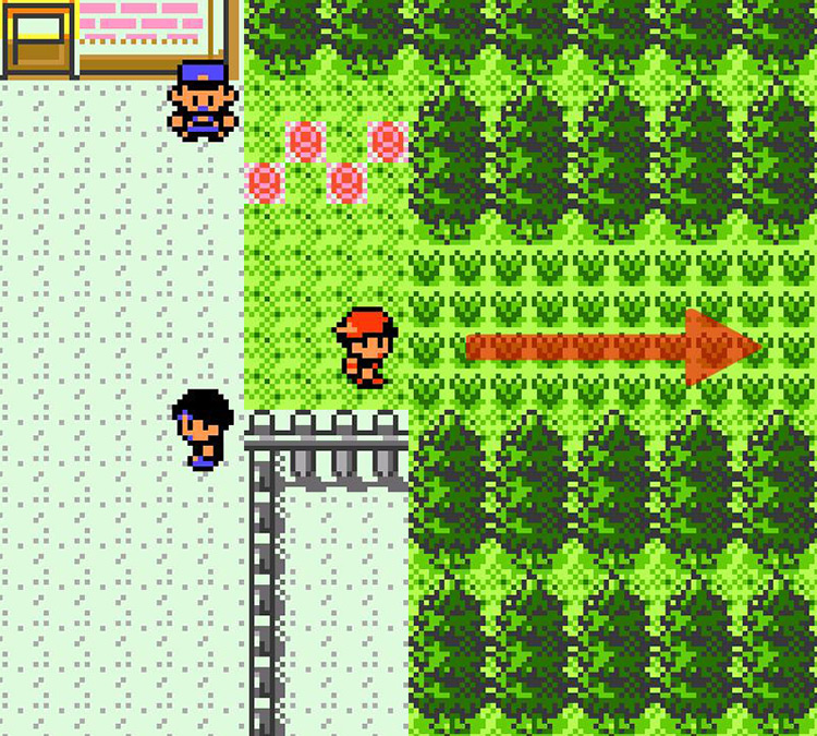 Once you see the house-like gates leading to the National Park, follow the grassy path / Pokémon Crystal