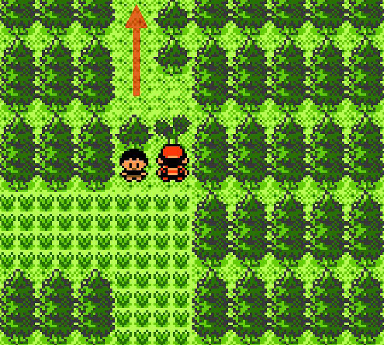 Walking a few steps north will take you to Route 36 / Pokémon Crystal