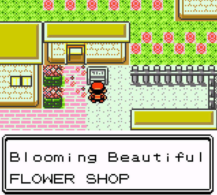 The Flower Shop exterior / Pokémon Crystal