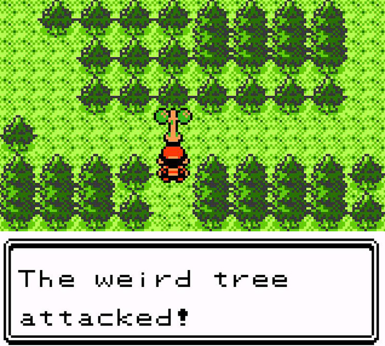 Interact with the dancing tree and use the Squirtbottle to start a Pokémon battle / Pokémon Crystal
