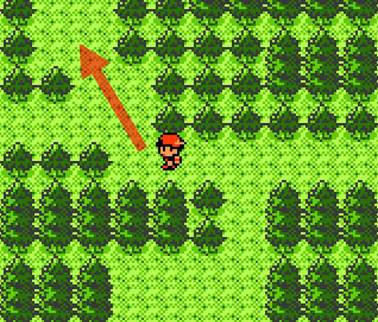 The red arrow shows the way to Ecruteak City / Pokémon Crystal