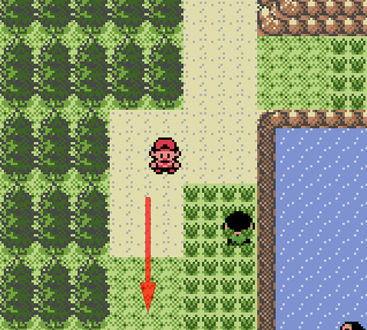 Taking the left path on Route 32 / Pokémon Crystal