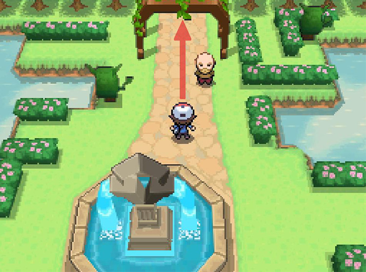 Veer North towards Route 3. / Pokémon Black and White
