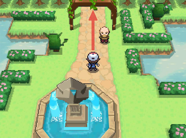 Veer North towards Route 3. / Pokémon Black and White