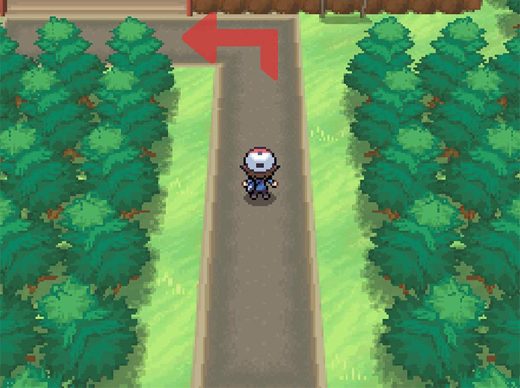Turn left onto Route 3. / Pokémon Black and White