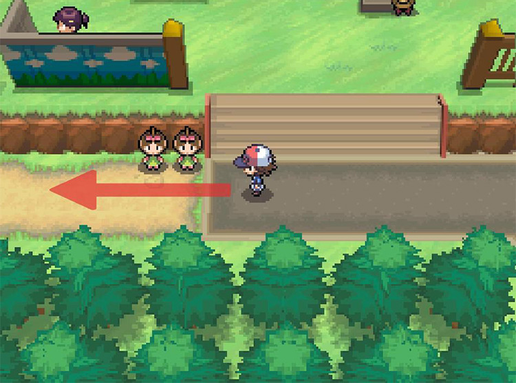 Head west past the twin trainers. / Pokémon Black and White