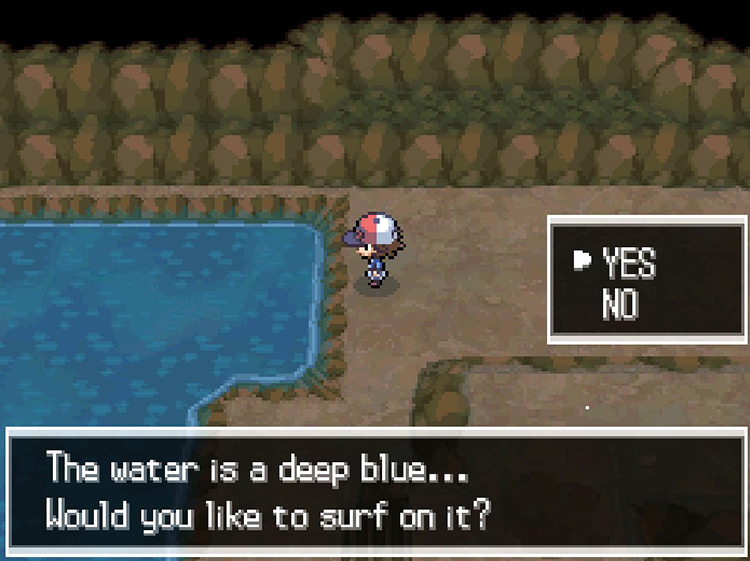 Use Surf at the body of water. / Pokémon Black and White