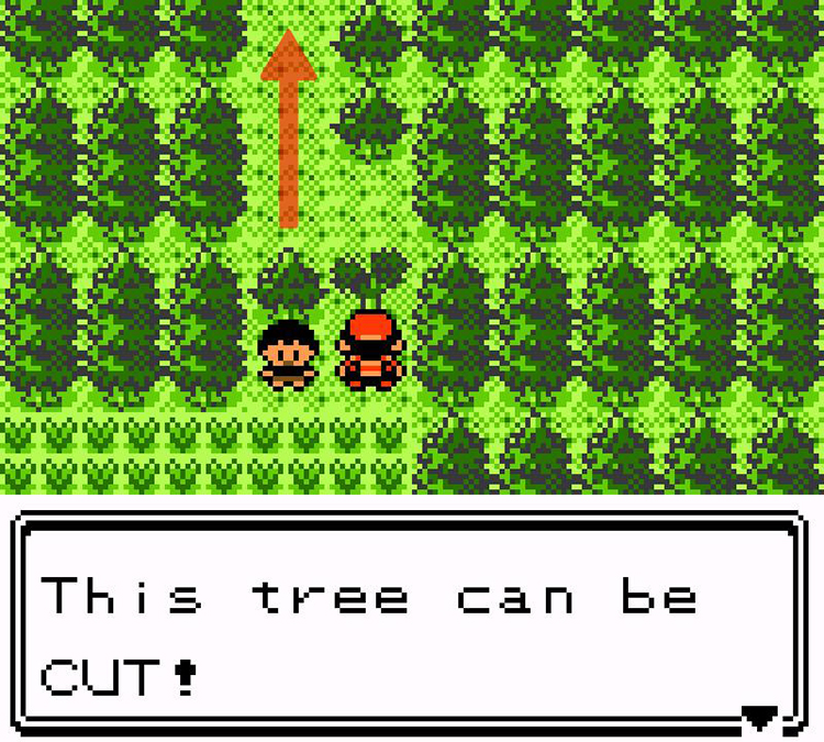 Cutting a tree on Route 35 / Pokémon Crystal