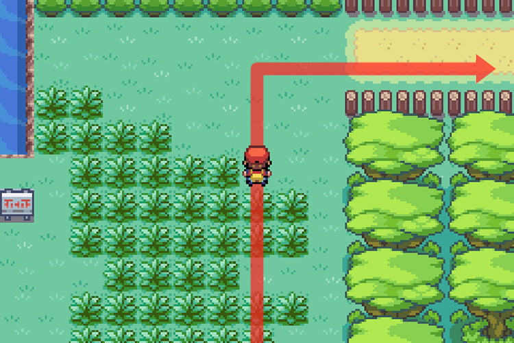 Exiting Center Area of Safari Zone / Pokémon FireRed and LeafGreen