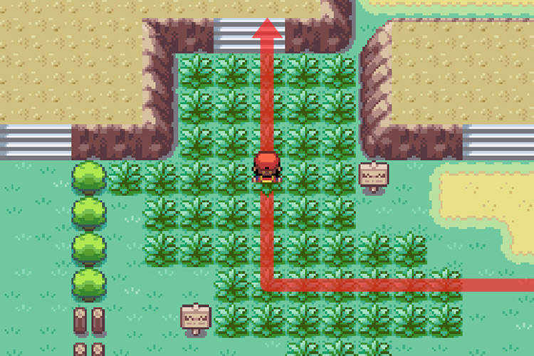 Approaching another elevated portion / Pokémon FireRed and LeafGreen