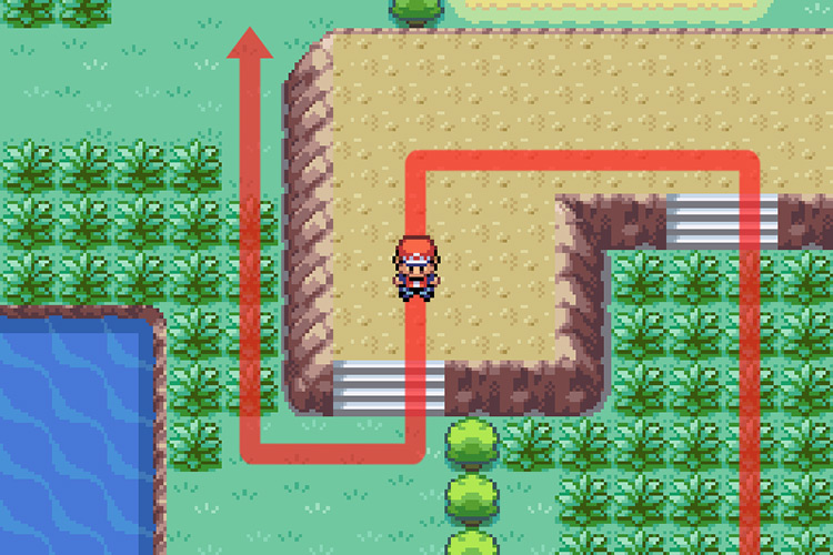 Zigzag through the elevated portion / Pokémon FireRed and LeafGreen