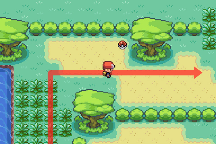 Walking between the trees towards the grass / Pokémon FireRed and LeafGreen
