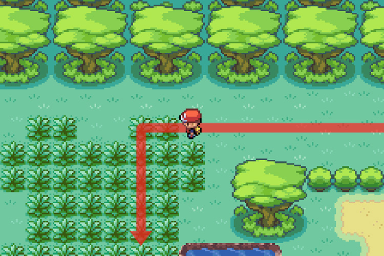 Running through the grass / Pokémon FireRed and LeafGreen