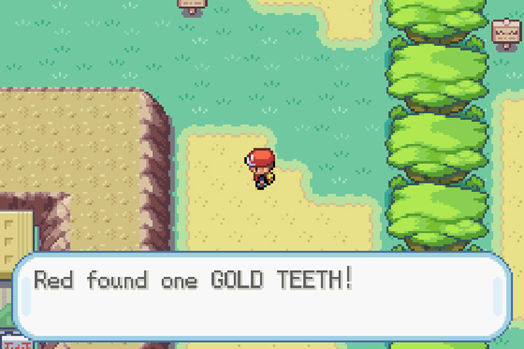 Picking up the Gold Teeth from the Safari Zone / Pokémon FireRed and LeafGreen