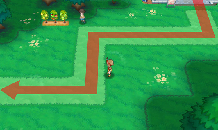 Route 123 going west / Pokémon Omega Ruby and Alpha Sapphire