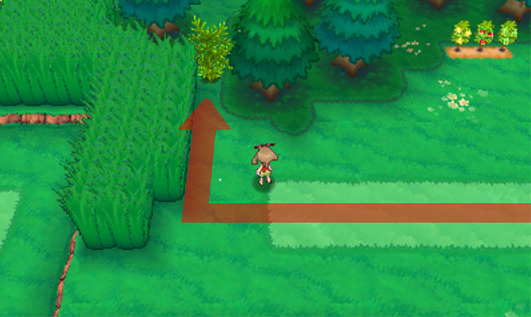 The first prickly tree you need to cut down / Pokémon Omega Ruby and Alpha Sapphire