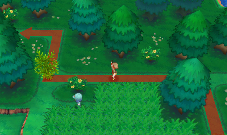 The second prickly tree you need to cut down / Pokémon Omega Ruby and Alpha Sapphire