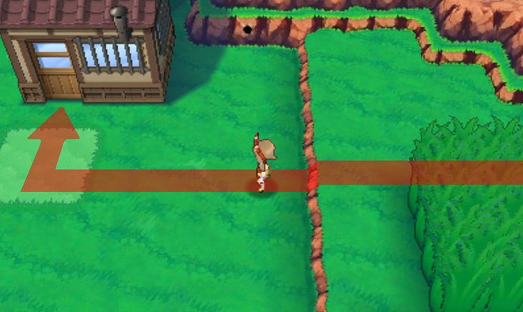 Fishing shack on Route 123 / Pokémon Omega Ruby and Alpha Sapphire
