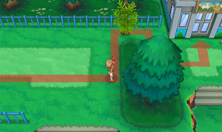 In front of the Safari Zone / Pokémon Omega Ruby and Alpha Sapphire