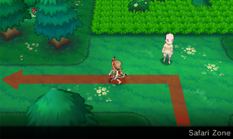 Biking inside the Safari Zone / Pokémon Omega Ruby and Alpha Sapphire