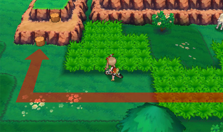The wooden stumps you’ll need to climb up on / Pokémon Omega Ruby and Alpha Sapphire