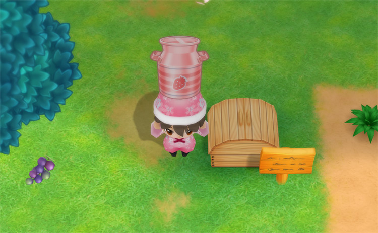 The farmer drops an X Strawberry Milk into the Shipping Bin. / Story of Seasons: Friends of Mineral Town