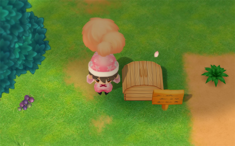 The farmer drops an X Angora Fur into the Shipping Bin. / Story of Seasons: Friends of Mineral Town
