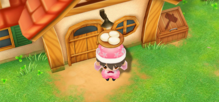 Standing outside the farmhouse holding Mochi in SoS:FoMT