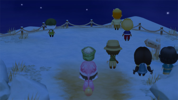 The farmer stands next to the villagers at the Summit. / Story of Seasons: Friends of Mineral Town
