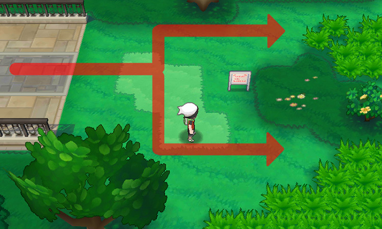 Forked path at the entrance of Route 116 / Pokémon ORAS