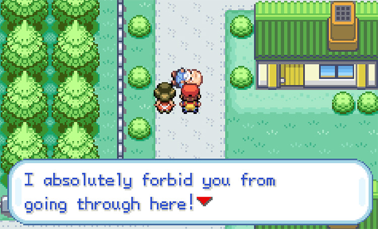 Elderly man laying in the middle of Viridian City, blocking our path / Pokemon FRLG