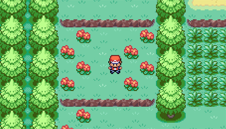 Walking back down Route 1, jumping over the hills as a shortcut / Pokemon FRLG