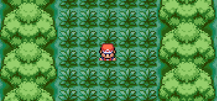 Standing in the middle of Viridian Forest in Pokémon FireRed