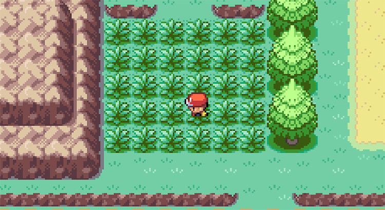 Standing in the tall grass on Route 22 / Pokemon FRLG