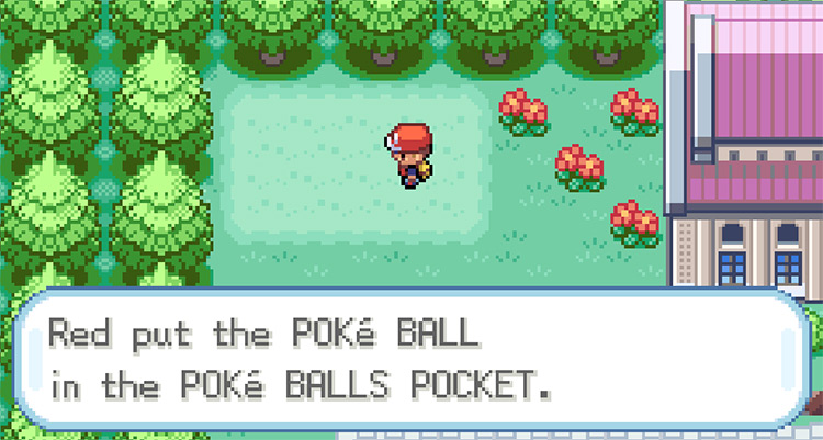 Getting the hidden Poké Ball in Pewter City / Pokemon FRLG