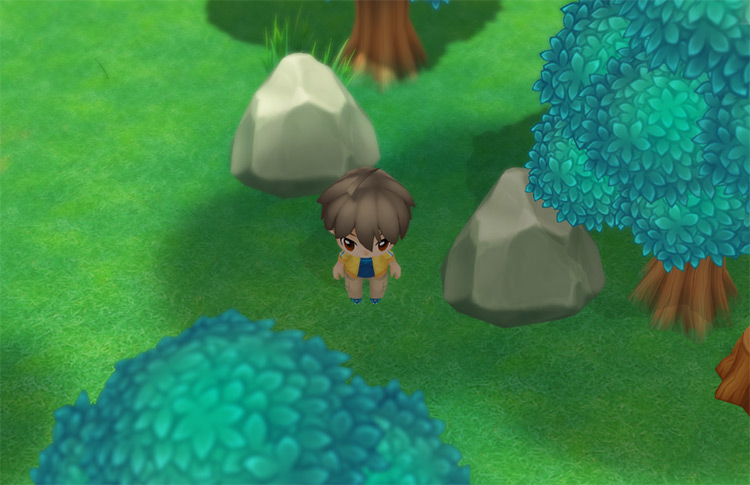 The farmer stands in between two boulders. / Story of Seasons: Friends of Mineral Town