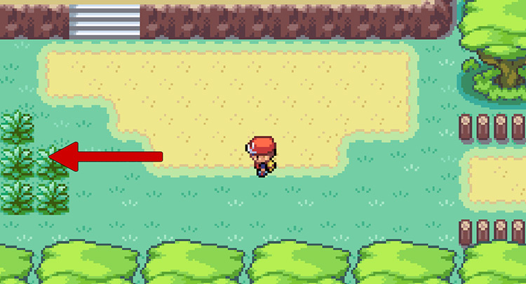 Walk west past the first set of stairs in this area and into the patch of tall grass / Pokemon FRLG