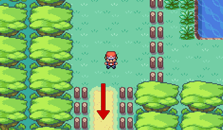 Take this path going down to reach the final area of the Safari Zone / Pokemon FRLG