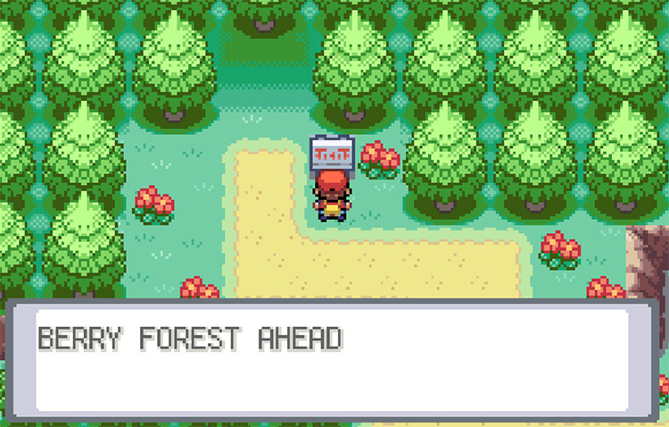Outside of Berry Forest on Three Island, where Lostelle can be found / Pokemon FRLG