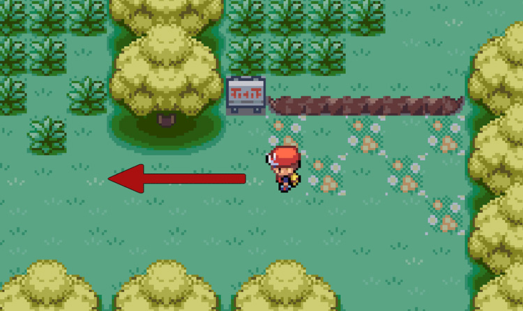 Walk west at the beginning of Berry Forest / Pokemon FRLG