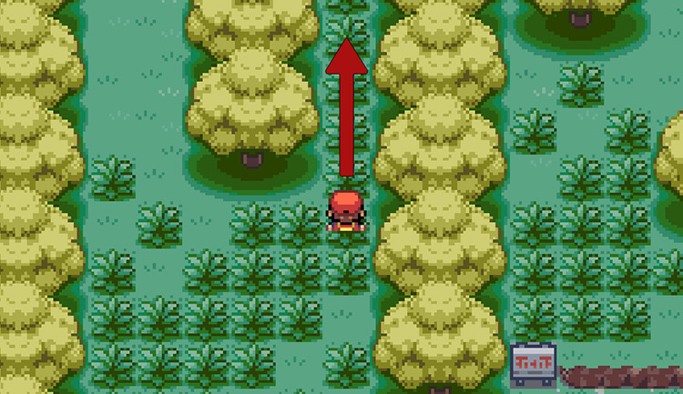 Continue north until you reach small, cuttable trees / Pokemon FRLG
