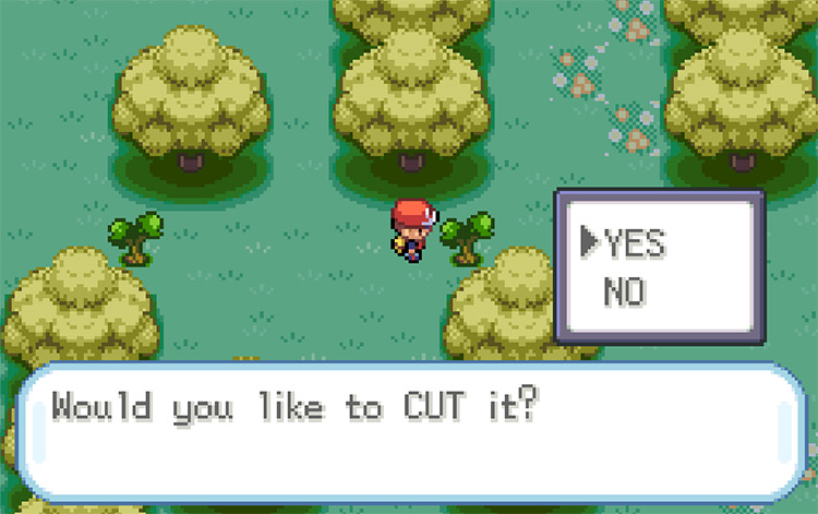 Cut down the trees and continue east / Pokemon FRLG