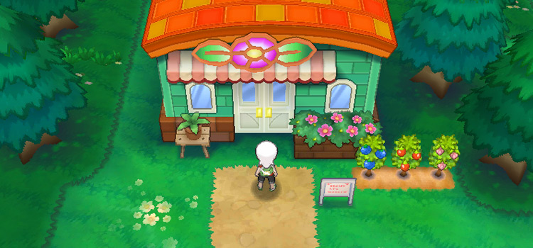 Standing at the Flower Shop on Route 104 (Pokémon Omega Ruby)
